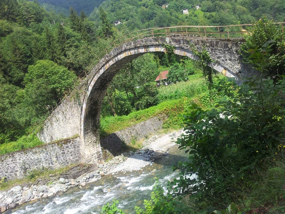 جسر 